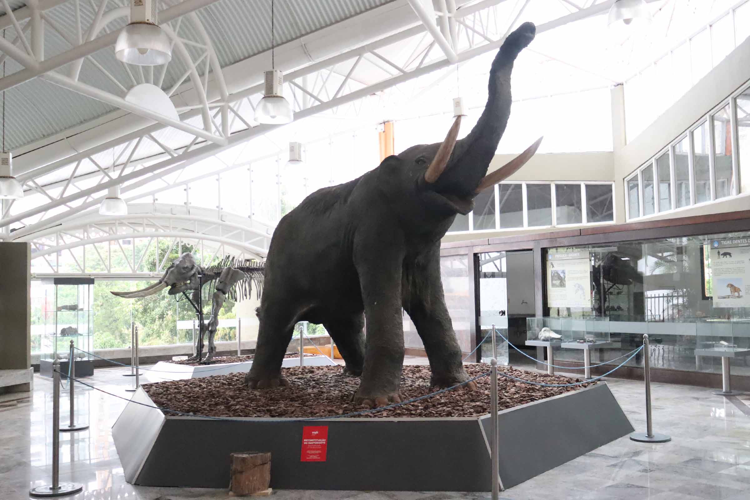 Museu Geológico da Bahia completa 48 anos de história