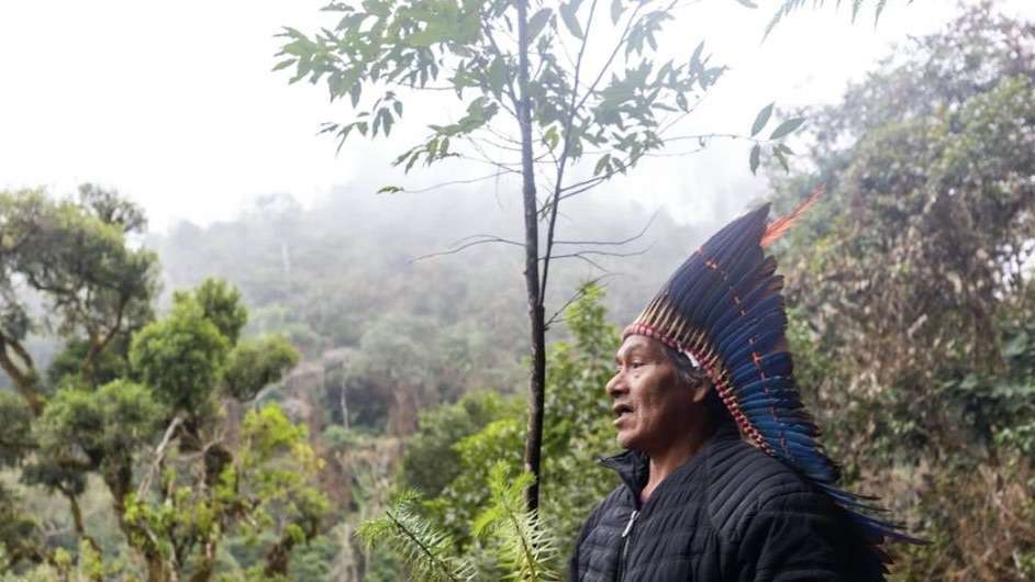 Brasil Inova na Medicina Tradicional e Amplia Benefícios à Saúde, Revela Especialista da OMS