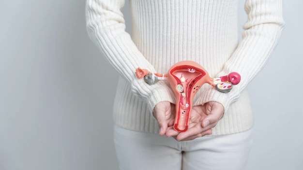 Entendendo os Miomas Uterinos: Especialista responde às principais questões