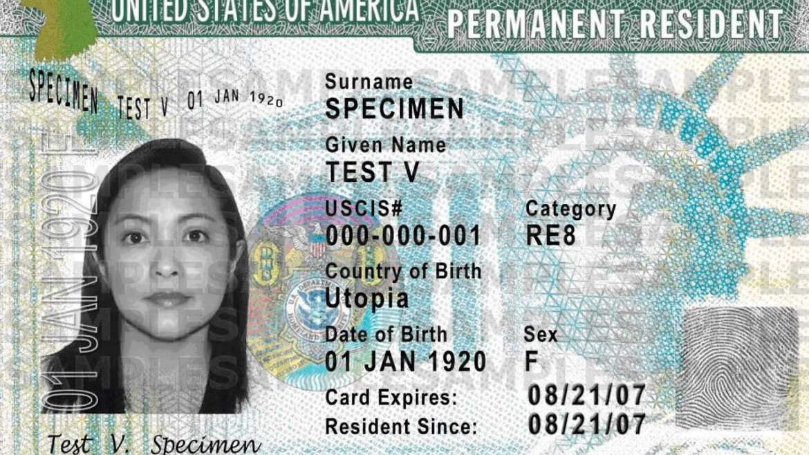 Mulheres casadas de 25 a 44 anos lideram obtenção do green card nos EUA