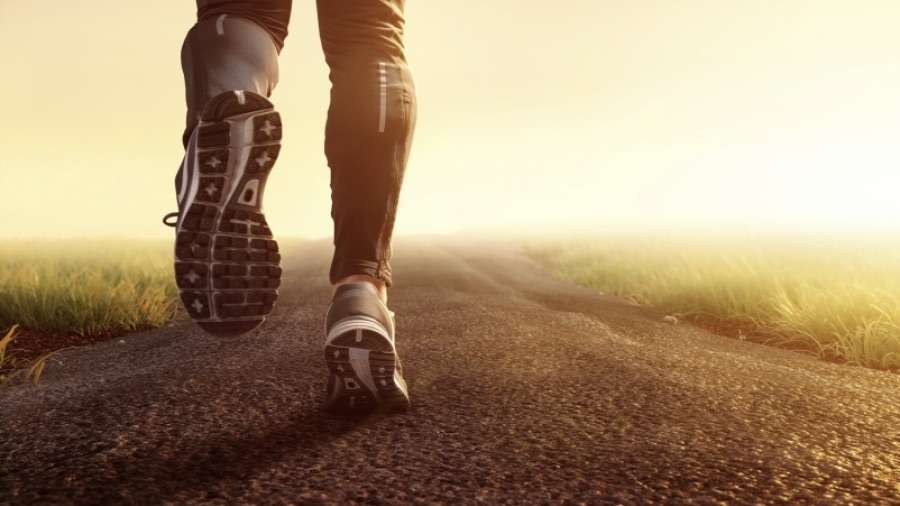 Exercícios Físicos: Um escudo contra o colesterol alto e a proteção do coração