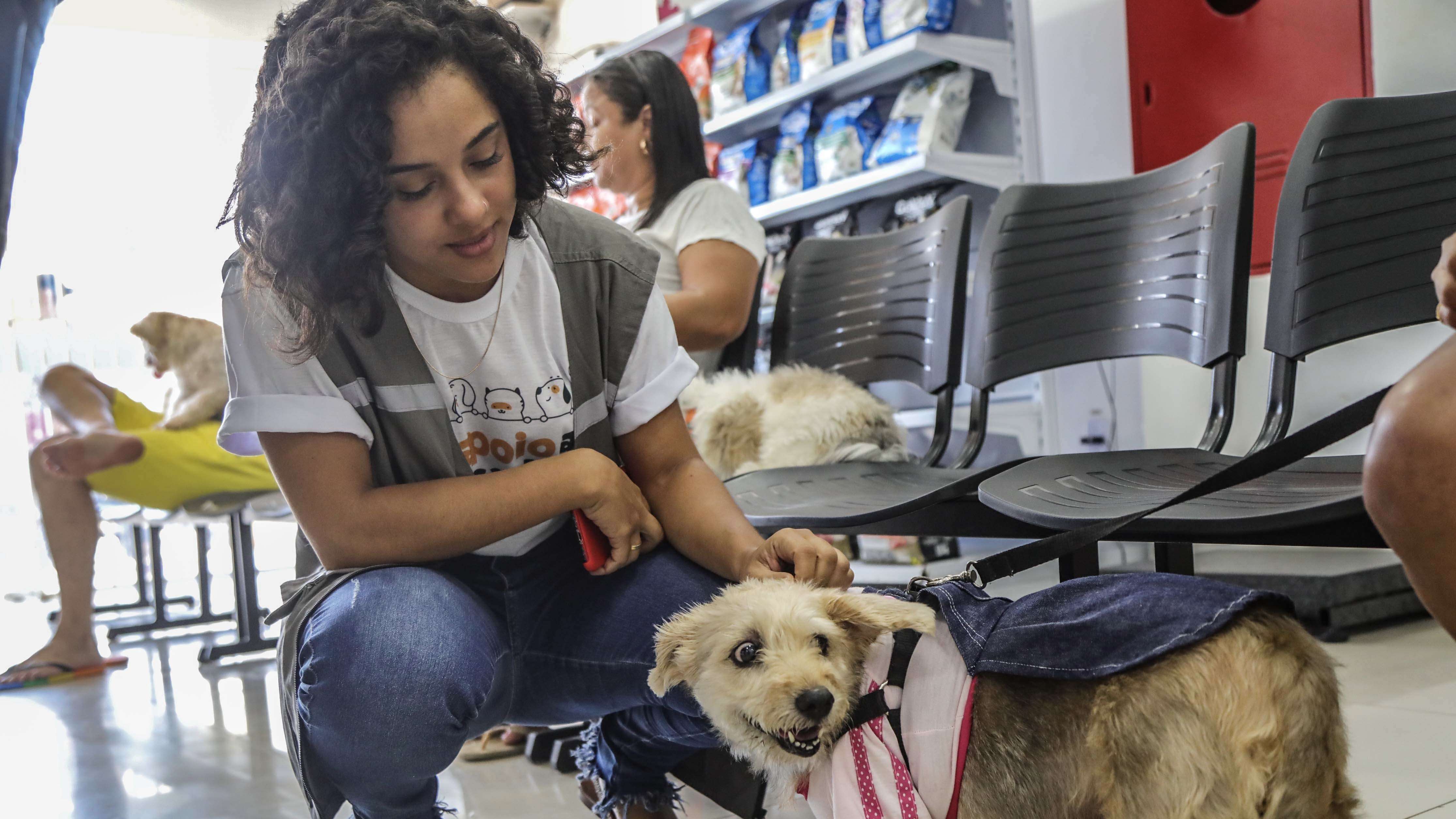 Salvador oferece cirurgias gratuitas para pets no Outubro Rosa