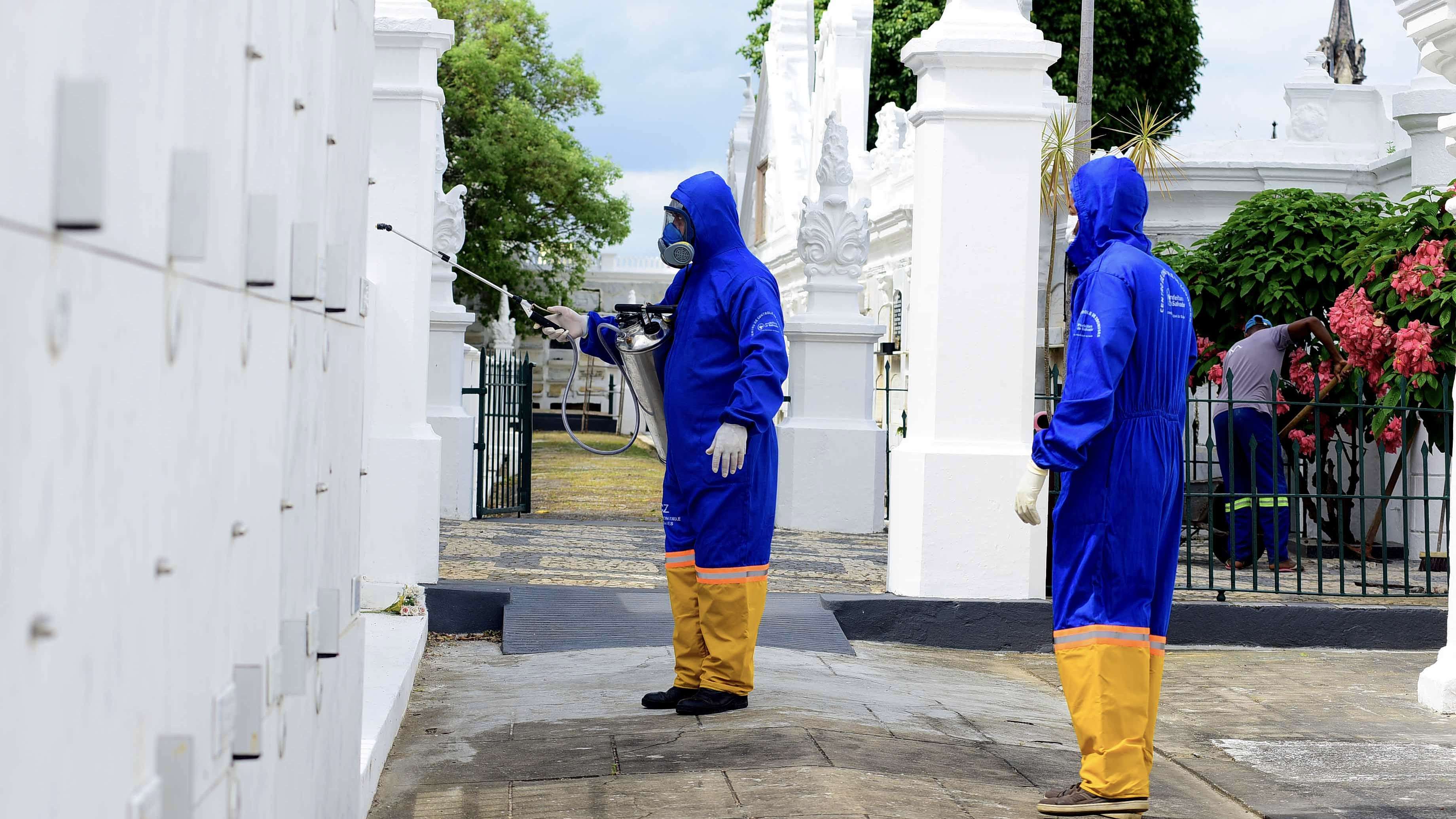 Salvador inicia operação verão sem mosquito para combater arboviroses