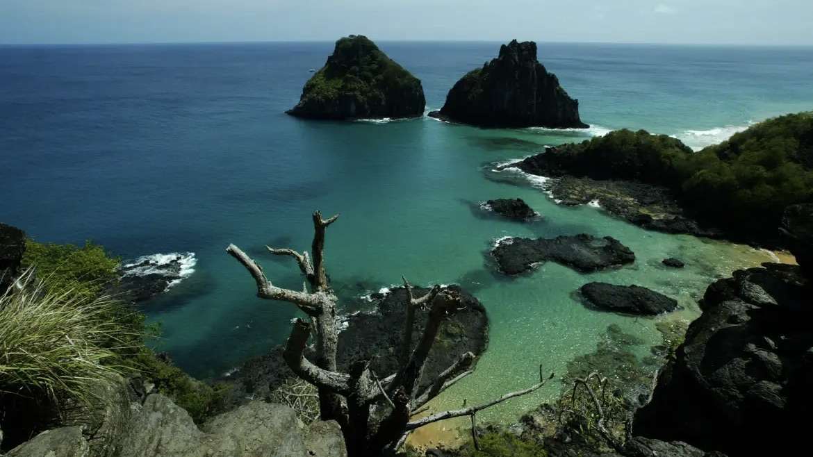 Recifes de Fernando de Noronha sob ameaça: Plástico e pesca fantasma comprometem biodiversidade