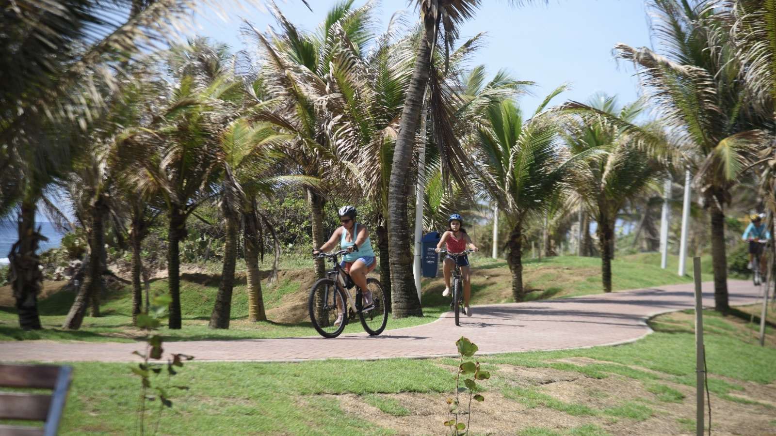 Salvador inaugura viveiro de restinga e requalifica orla de Praia do Flamengo