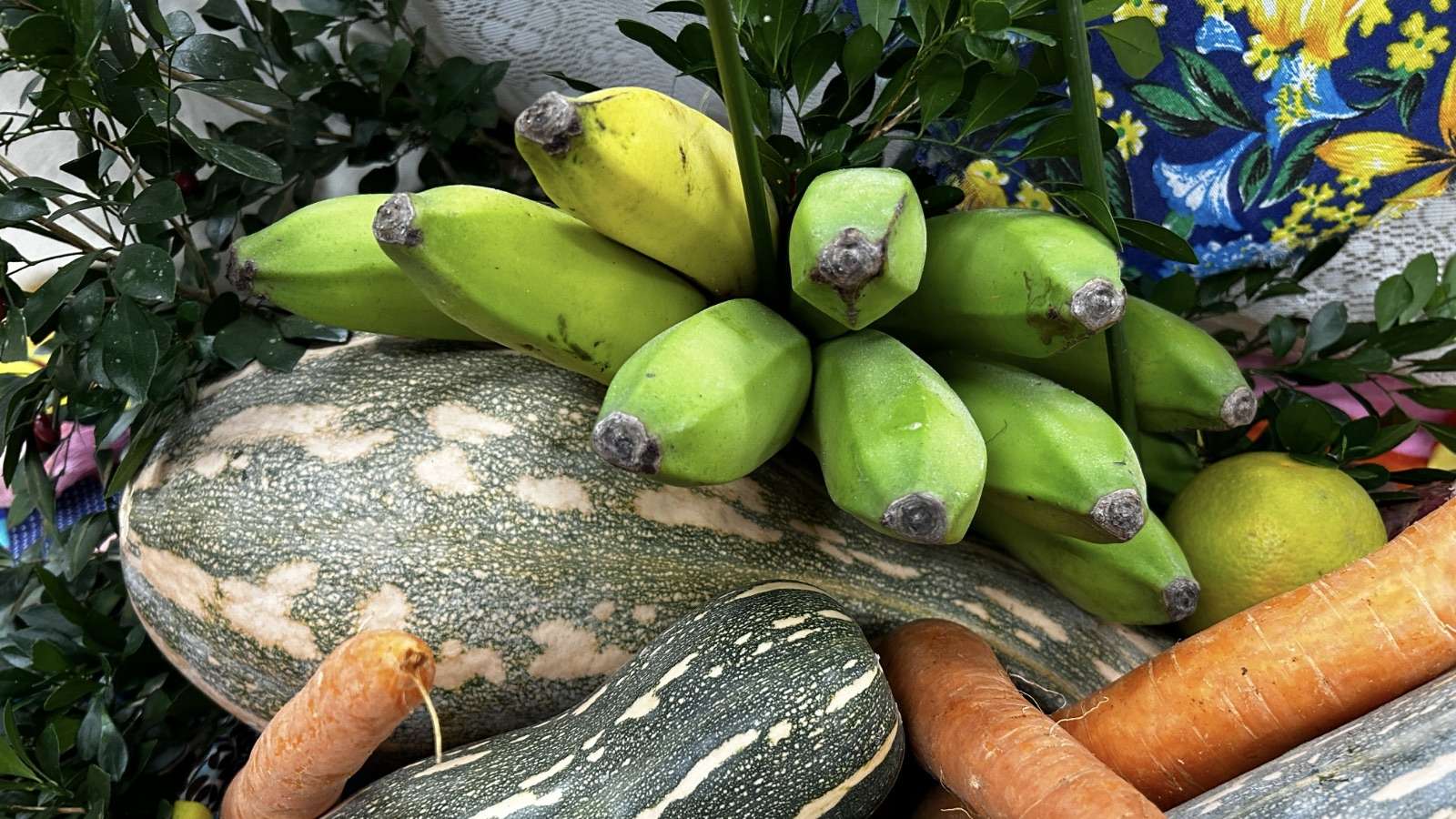 Salvador recebe a 1ª Feira Agroecológica da Bahia: Sabor e sustentabilidade no parque costa azul