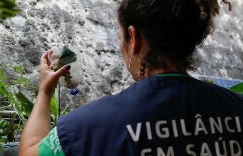 Unicef e sociedade civil se unem na luta contra a dengue: O perigo que ronda a todos