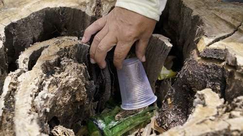 Aumento alarmante: Brasil registra 12 mortes e 120 mil casos de dengue em três semanas