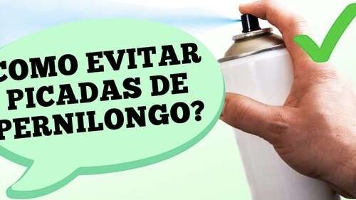 Proteja-se das Picadas: 5 estratégias eficazes para evitar mosquitos, segundo a infectologista Karina Miyaji