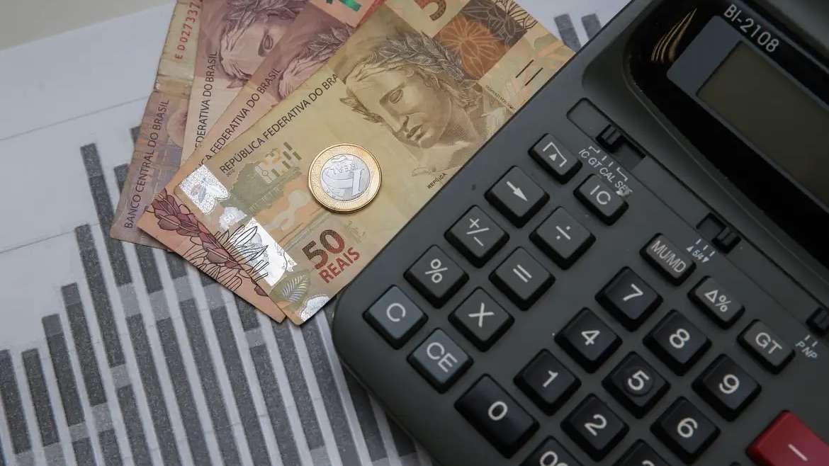 Estratégias para conquistar a estabilidade financeira em 2024: Planejamento, economia e cálculos,