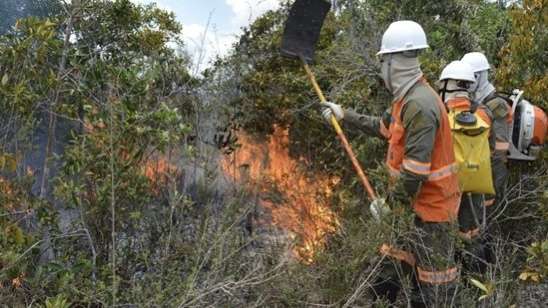 Programa Amigos da Floresta conscientização e combate a incêndios
