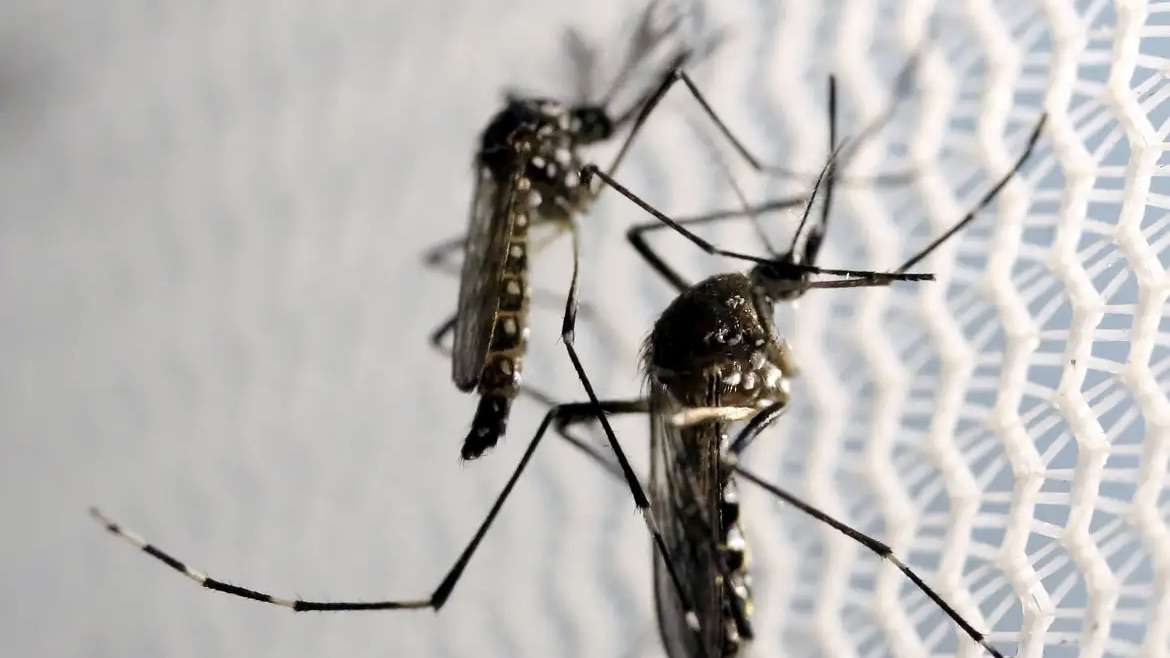 Graves complicações da dengue preocupam autoridades de saúde no Distrito Federal.