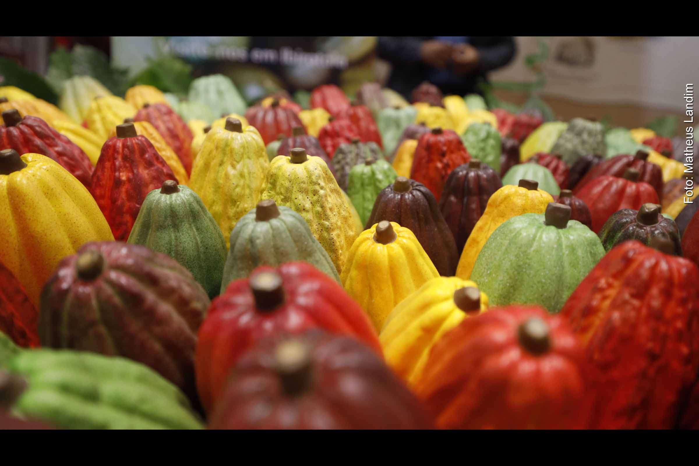Estrada do Chocolate é desataque na terceira edição da Origem Week Bahia