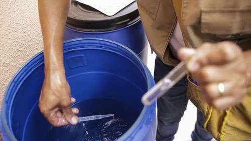 Epidemia de dengue no Brasil supera 1,3 milhão de casos prováveis em 2024