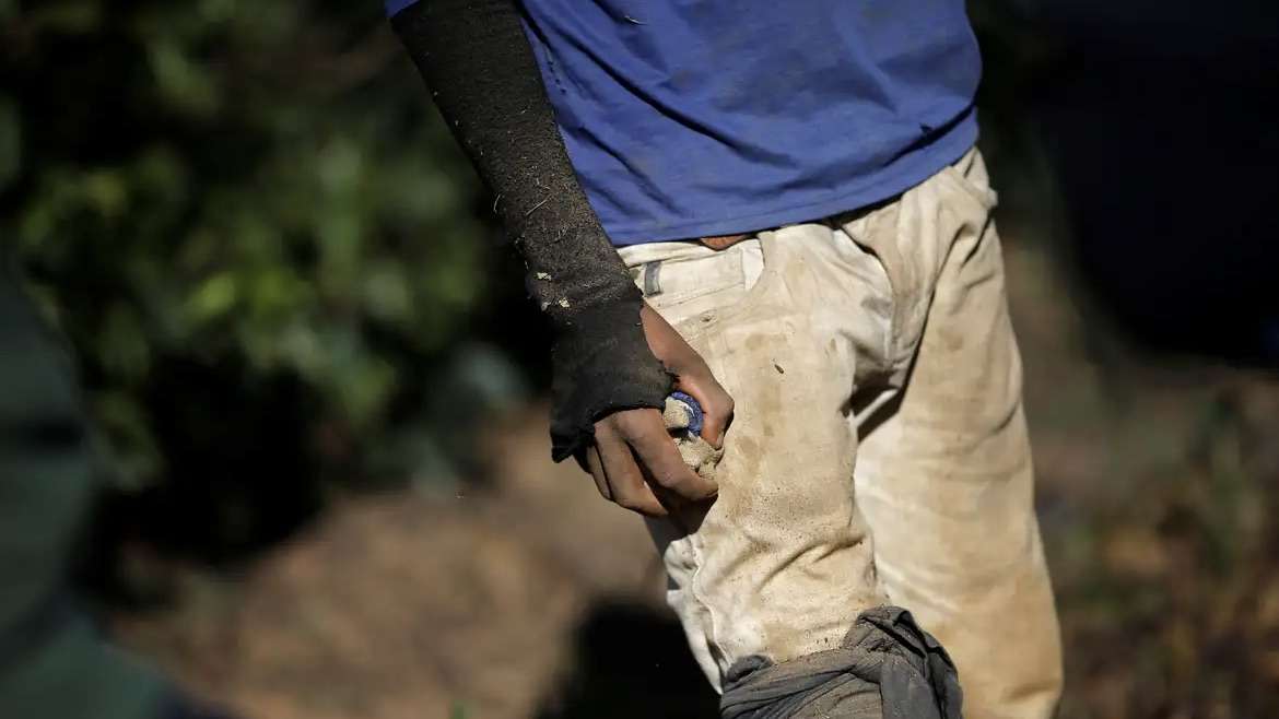 Lucros do trabalho forçado alcançam US$ 236 bilhões anualmente, revela relatório da OIT