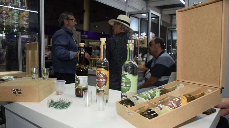 Vinho e cachaça setores em ascensão que geram riquezas e empregos