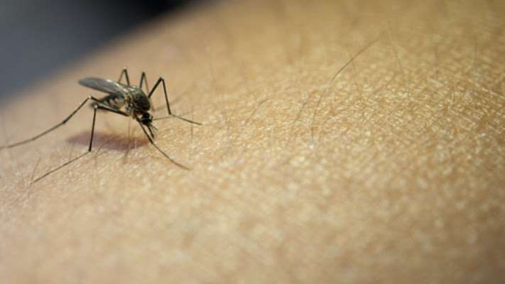 Alerta do Ministério da Saúde adverte perigos da automedicação contra a dengue