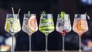 Origens e segredos da Gin Tônica um clássico da coquetelaria
