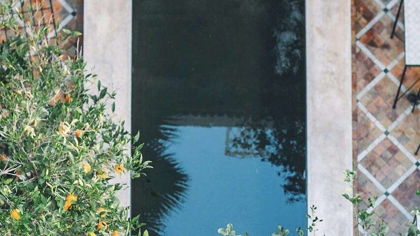 Especialista destaca a importância da manutenção da piscina durante o outono