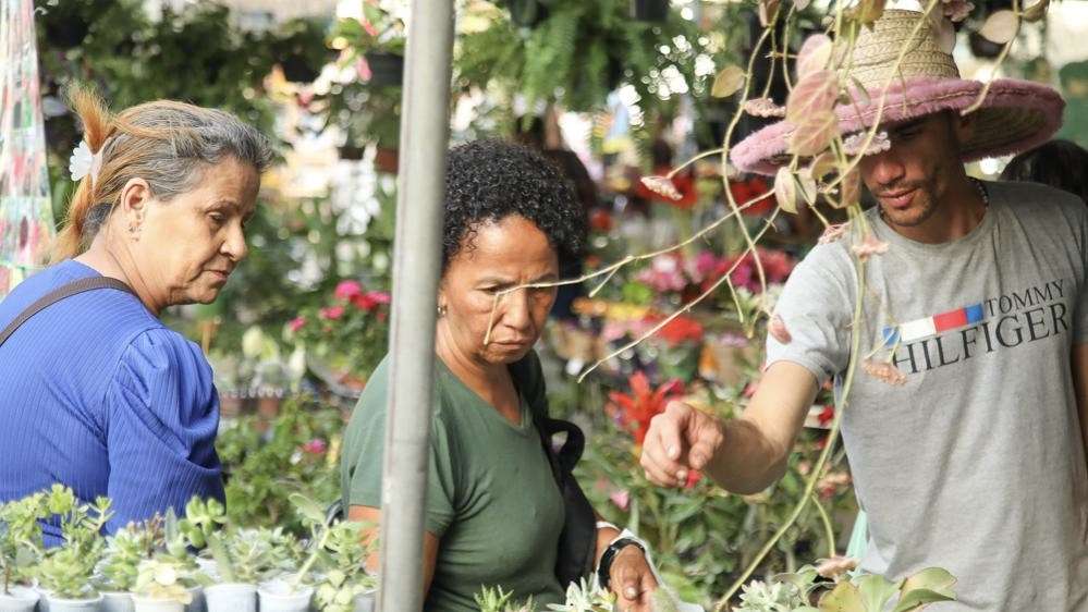 Parque da Cidade Sedia 5ª edição do circuito de feiras agroecológicas de Salvador