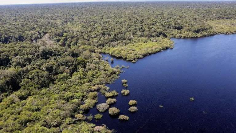 Governo inicia plano clima participativo com encontros em todo o Brasil