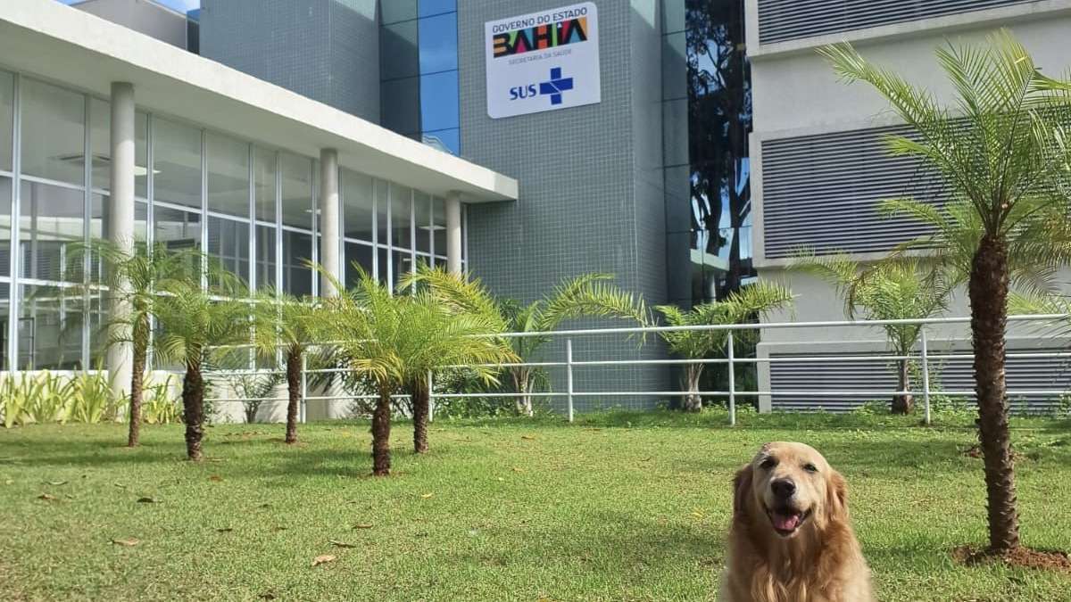 Hospital Ortopédico do Estado implementa terapia assistida por animais