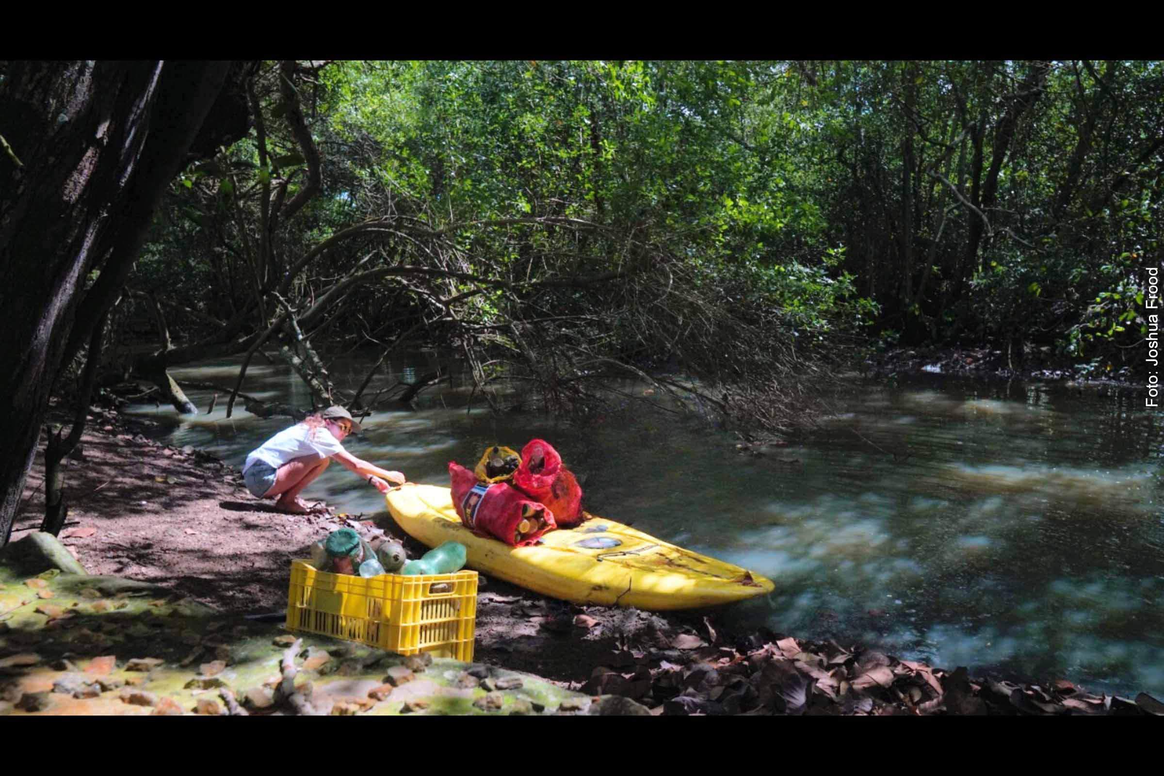 Projeto Mares promove ação de limpeza de mangue em celebração ao Dia Mundial de Proteção aos Manguezais