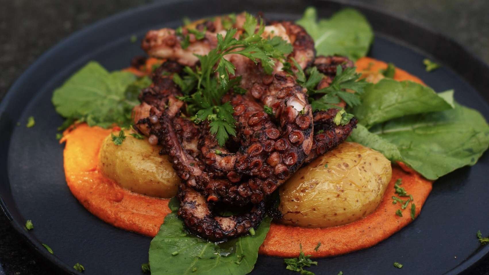 Festival Praia do Forte a seu gosto celebra cultura baiana com gastronomia e música