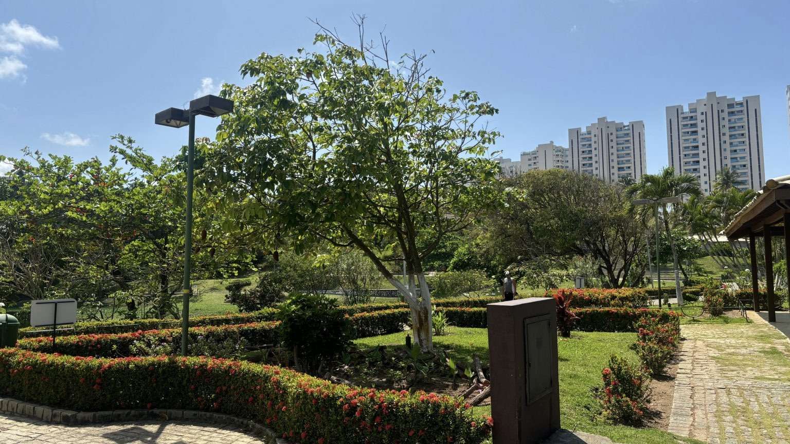 Requalificação dos Parques do Abaeté e Pituaçu impulsiona áreas verdes em Salvador.