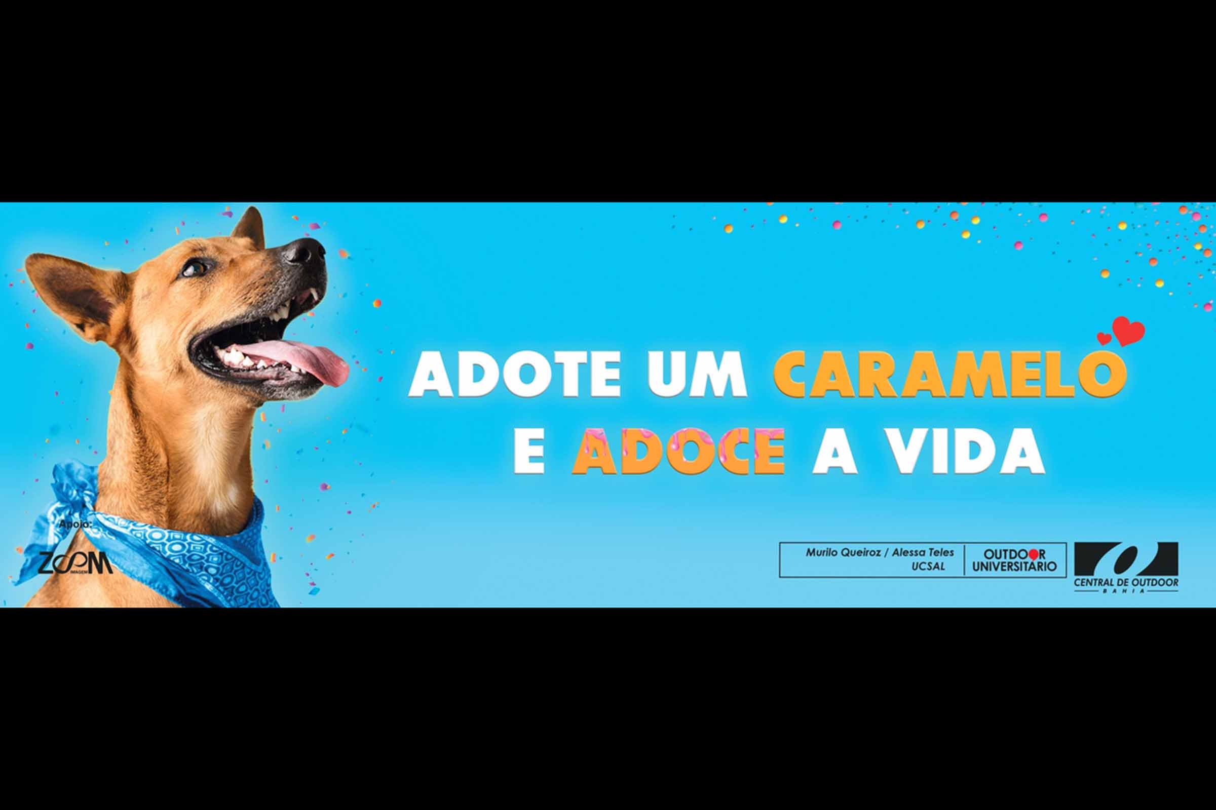 Projeto Outdoor Universitário avança para a final com sete estudantes de Salvador e Feira de Santana