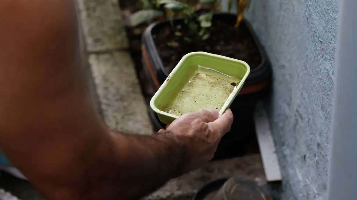 Chuvas de verão intensificam a proliferação do mosquito da dengue e aumentam casos no Brasil.
