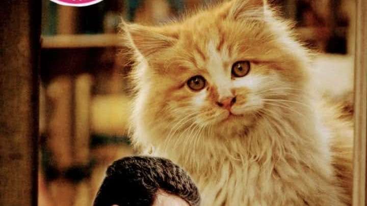 Manifestação em defesa dos animais mobiliza ativistas em Salvador