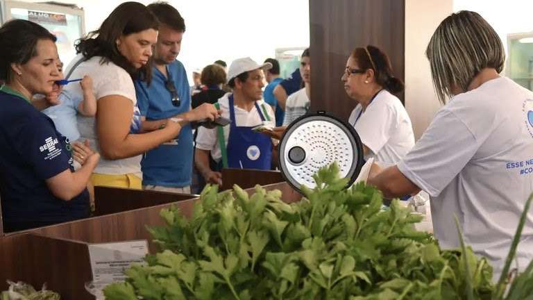 Nordeste concentra 15,6% das aberturas de pequenos negócios no Brasil