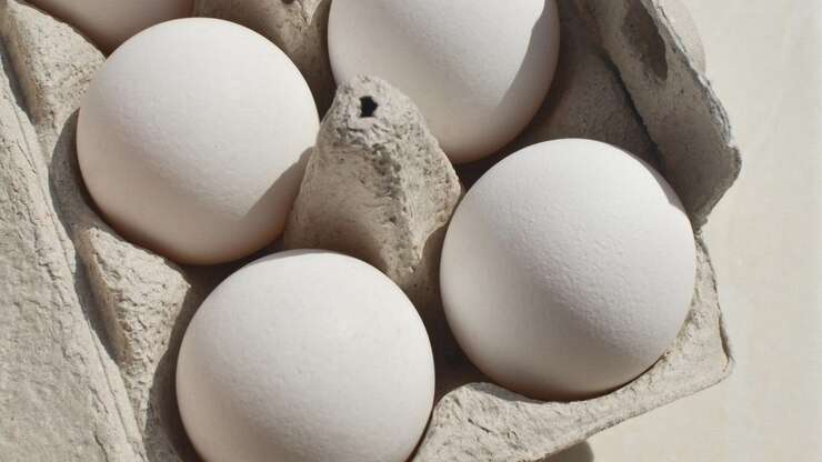 Ovo alimento completo e versátil apresenta benefícios para a saúde sem aumento do colesterol.