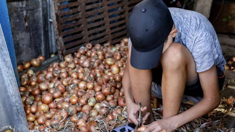 Governo intensifica combate ao trabalho infantil com avanços em políticas públicas e fiscalização