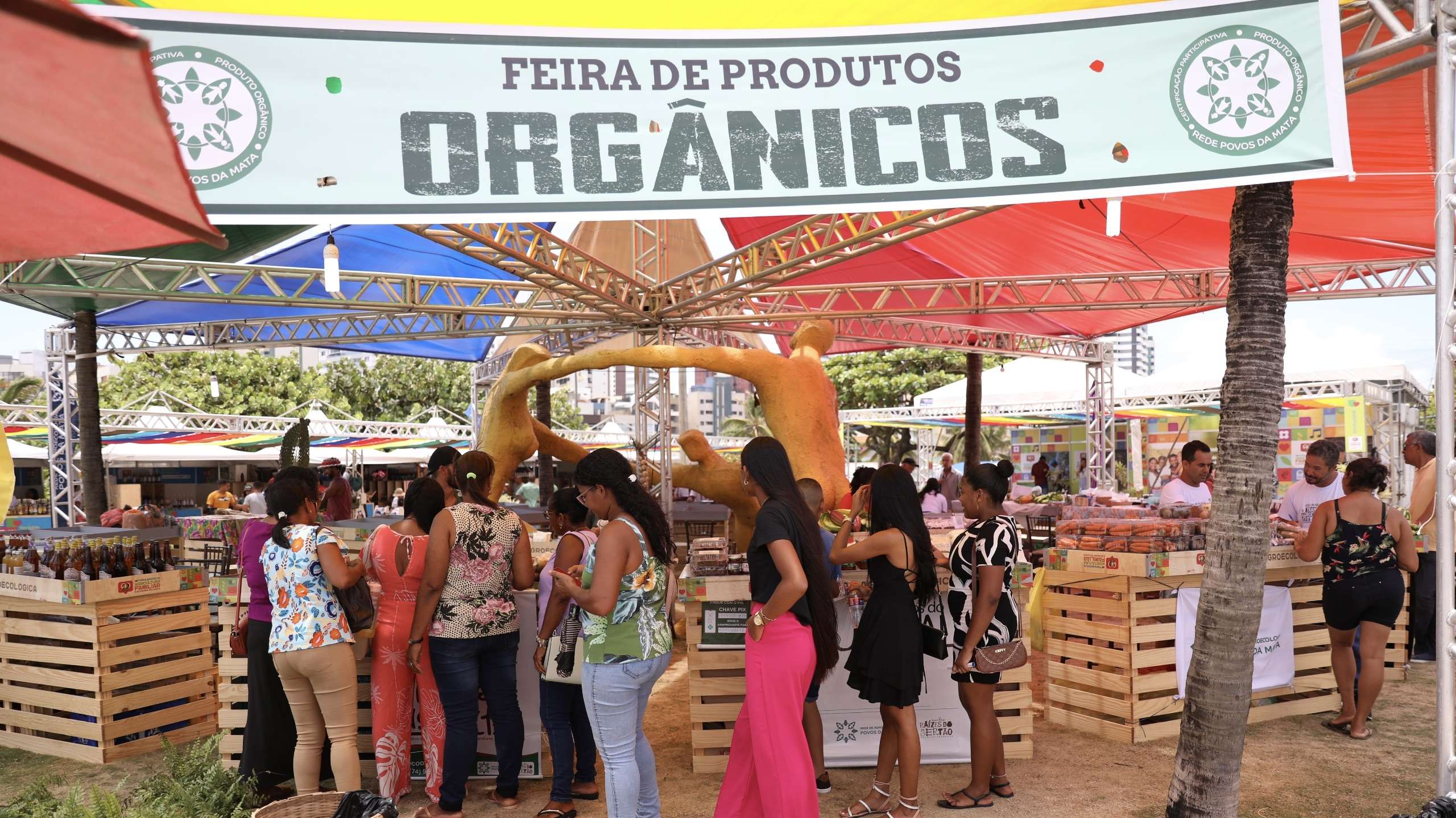 Feira Baiana destaca produtos orgânicos e agricultura familiar em Salvador