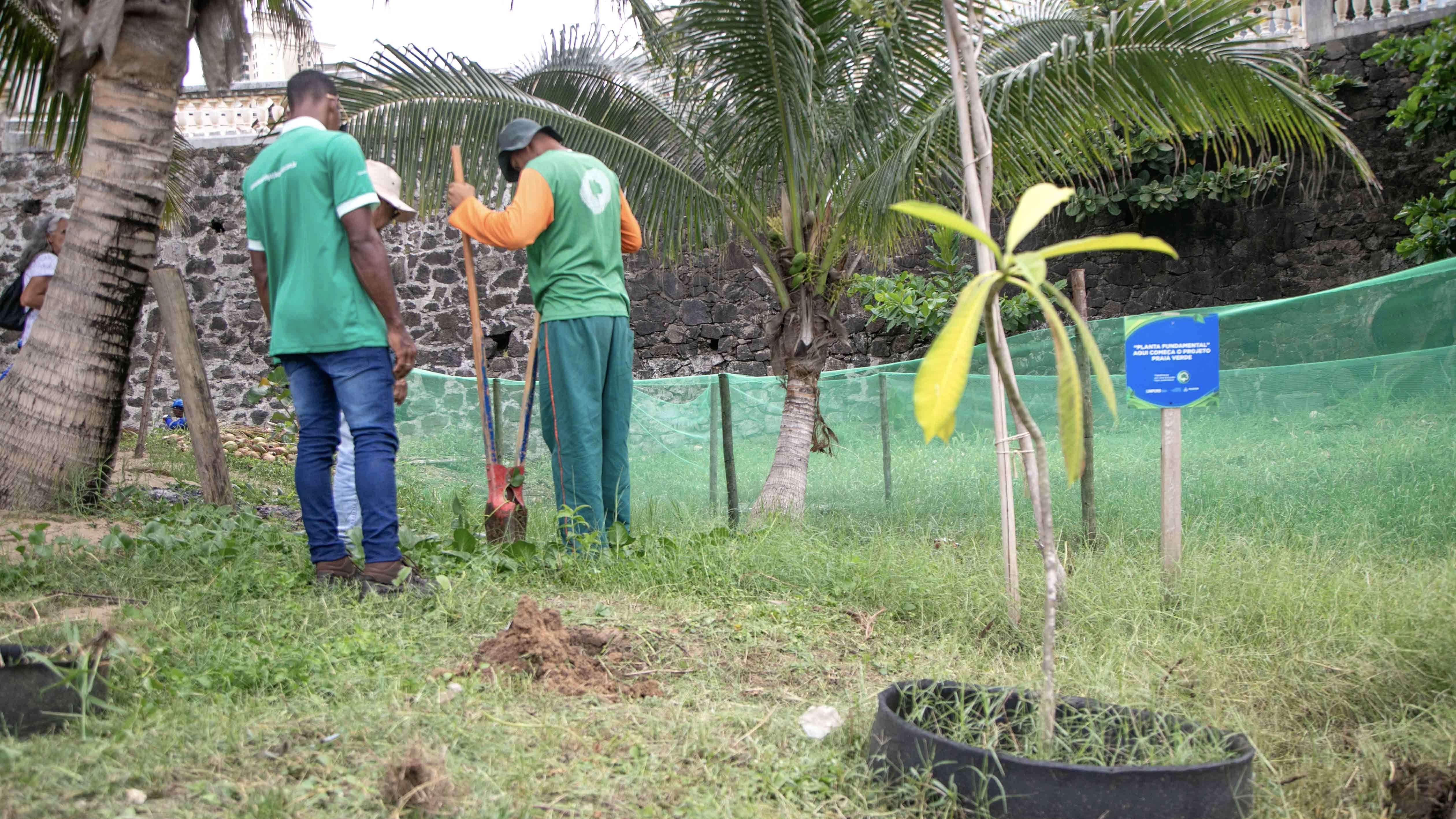 Praia no Rio Vermelho terá manguezal recuperado pela Prefeitura de Salvador