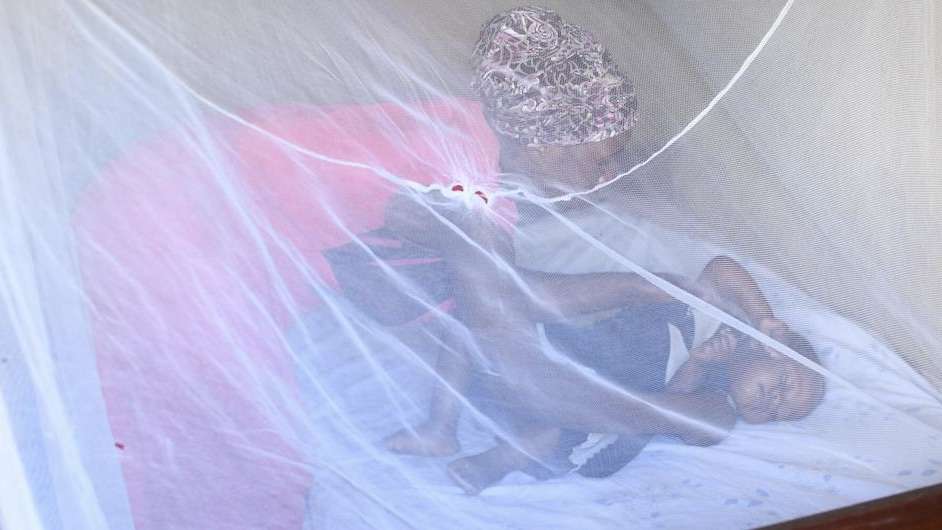 OMS alerta para risco de retrocesso global no combate à malária diante de cortes no financiamento.