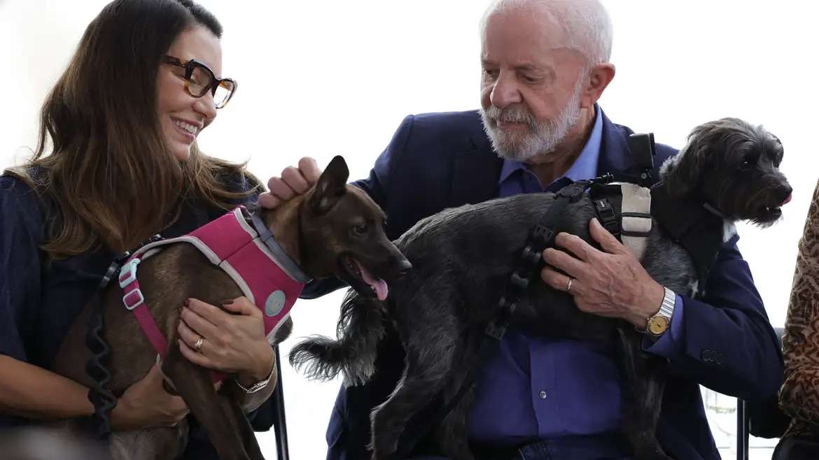 Governo Federal lança sistema nacional de identificação e manejo populacional de cães e gatos
