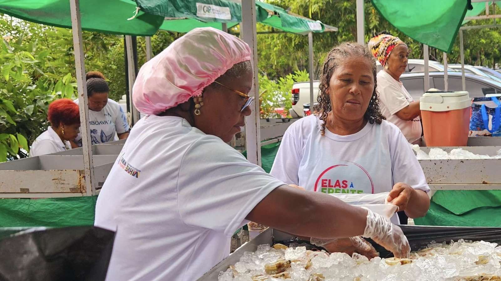 Pescadoras da Gamboa ampliam atuação com apoio do projeto Elas à Frente da Pesca