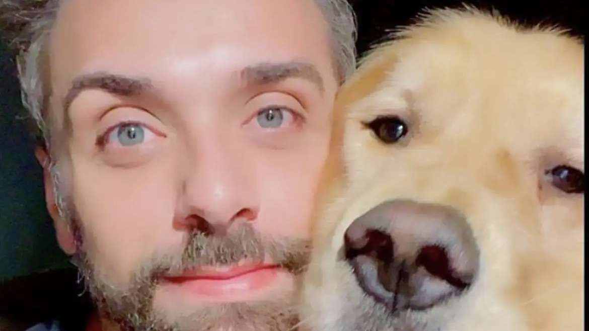 Senado aprova novas regras para transporte aéreo de animais domésticos