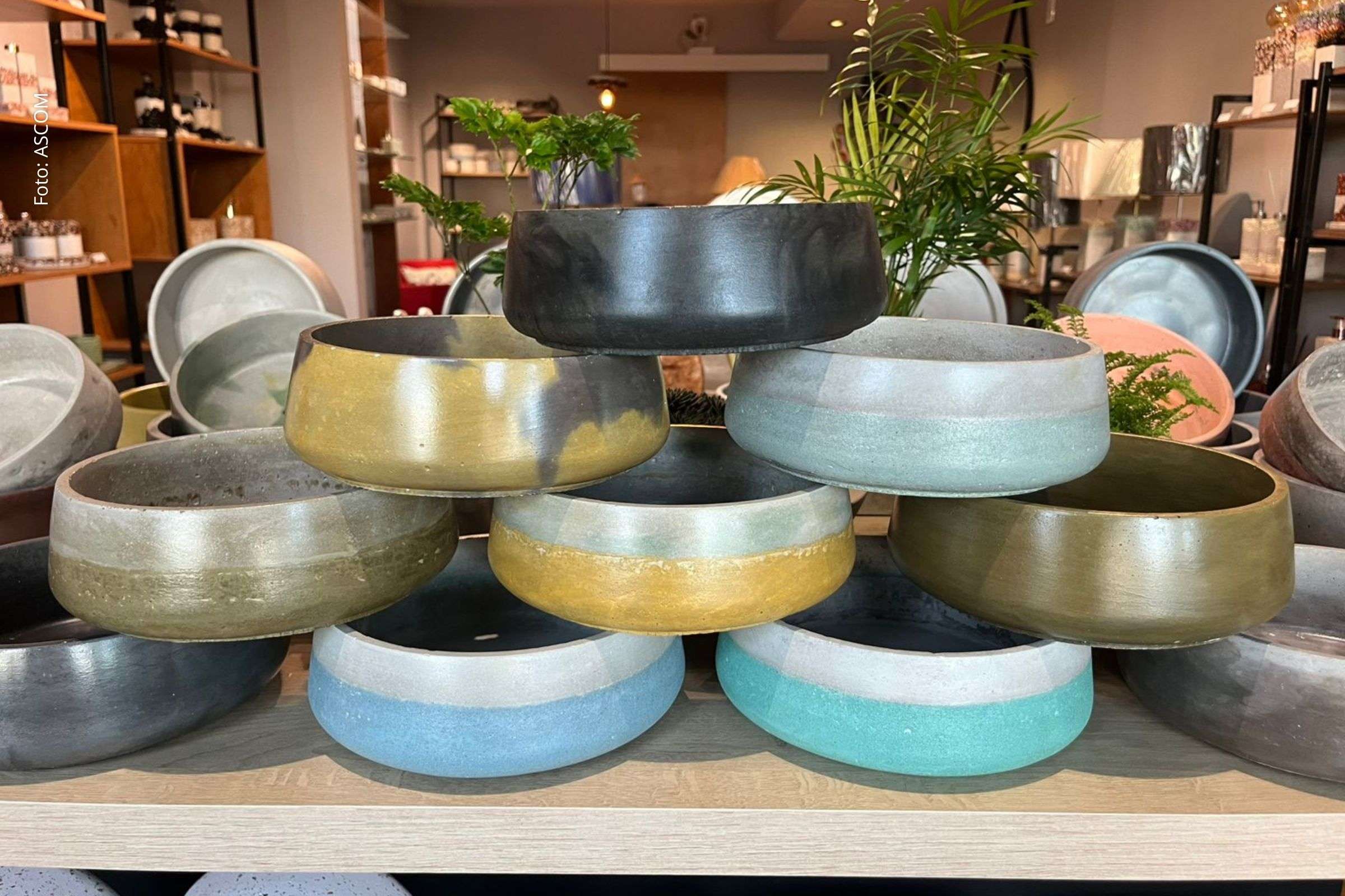 Exalle Decor lança linha Brotô de vasos em cimento para cultivo de plantas em pequenos espaços