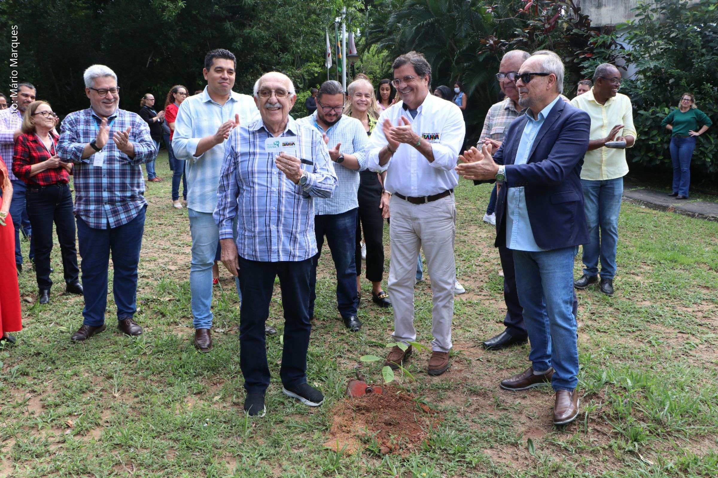 SDE Bahia promove plantio de árvore em ação alinhada à agenda da ONU e combate à desertificação