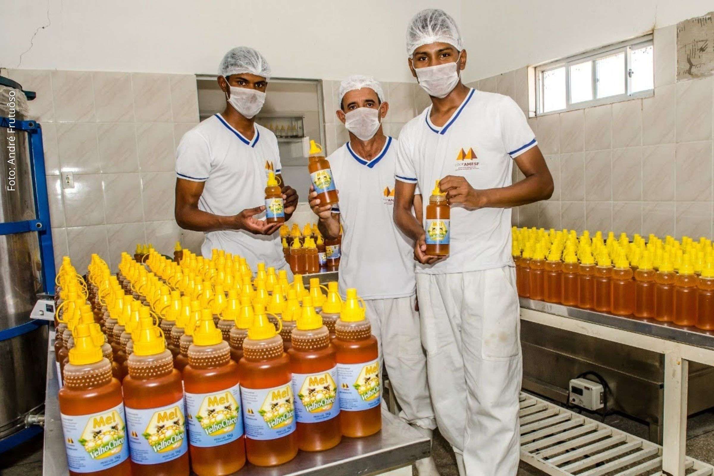 Mel da agricultura familiar conquista paladares e fortalece comunidades rurais da Bahia