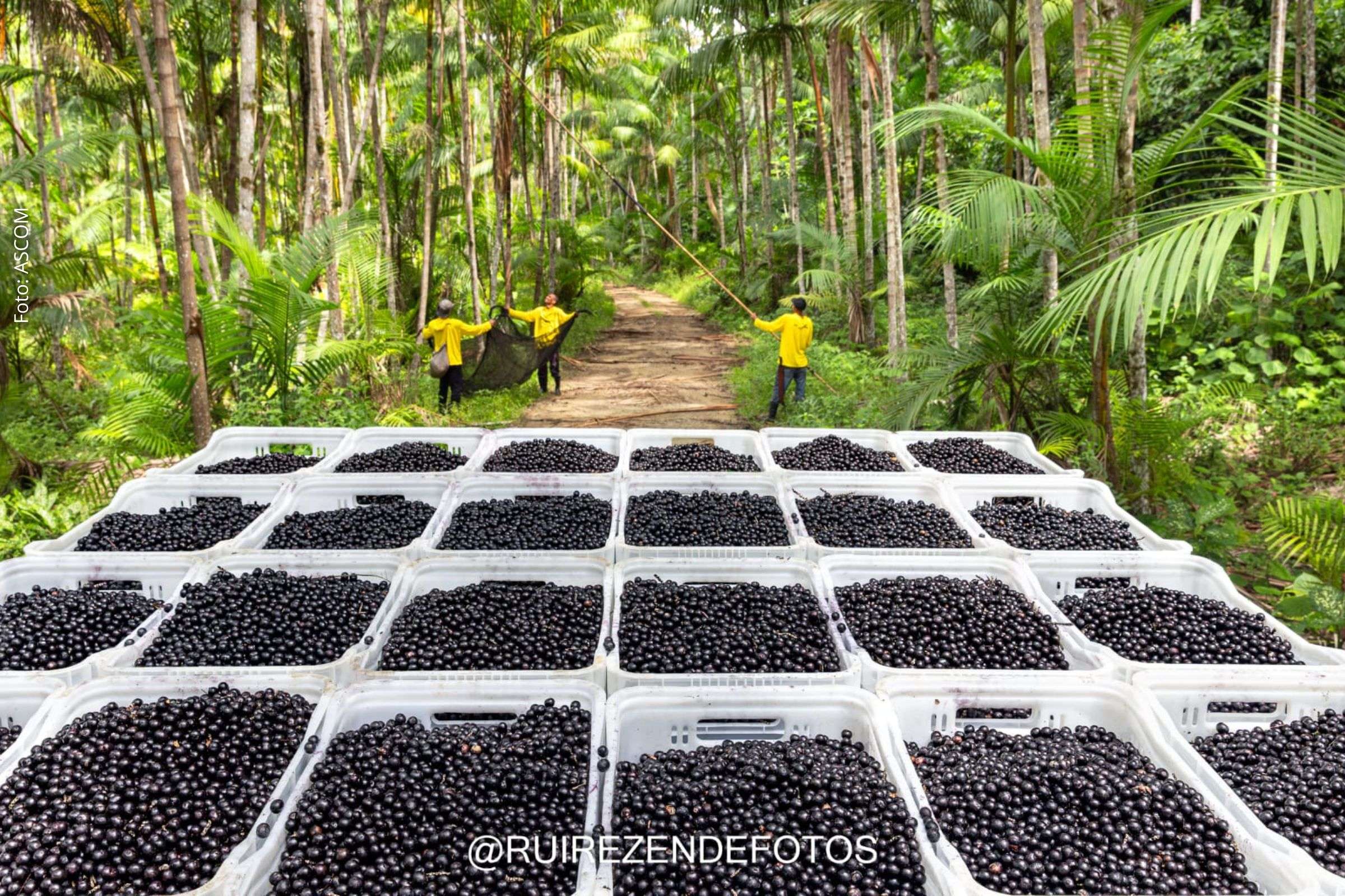 Agenda contempla fotografia, literatura, música e teatro em Salvador e no interior da Bahia.