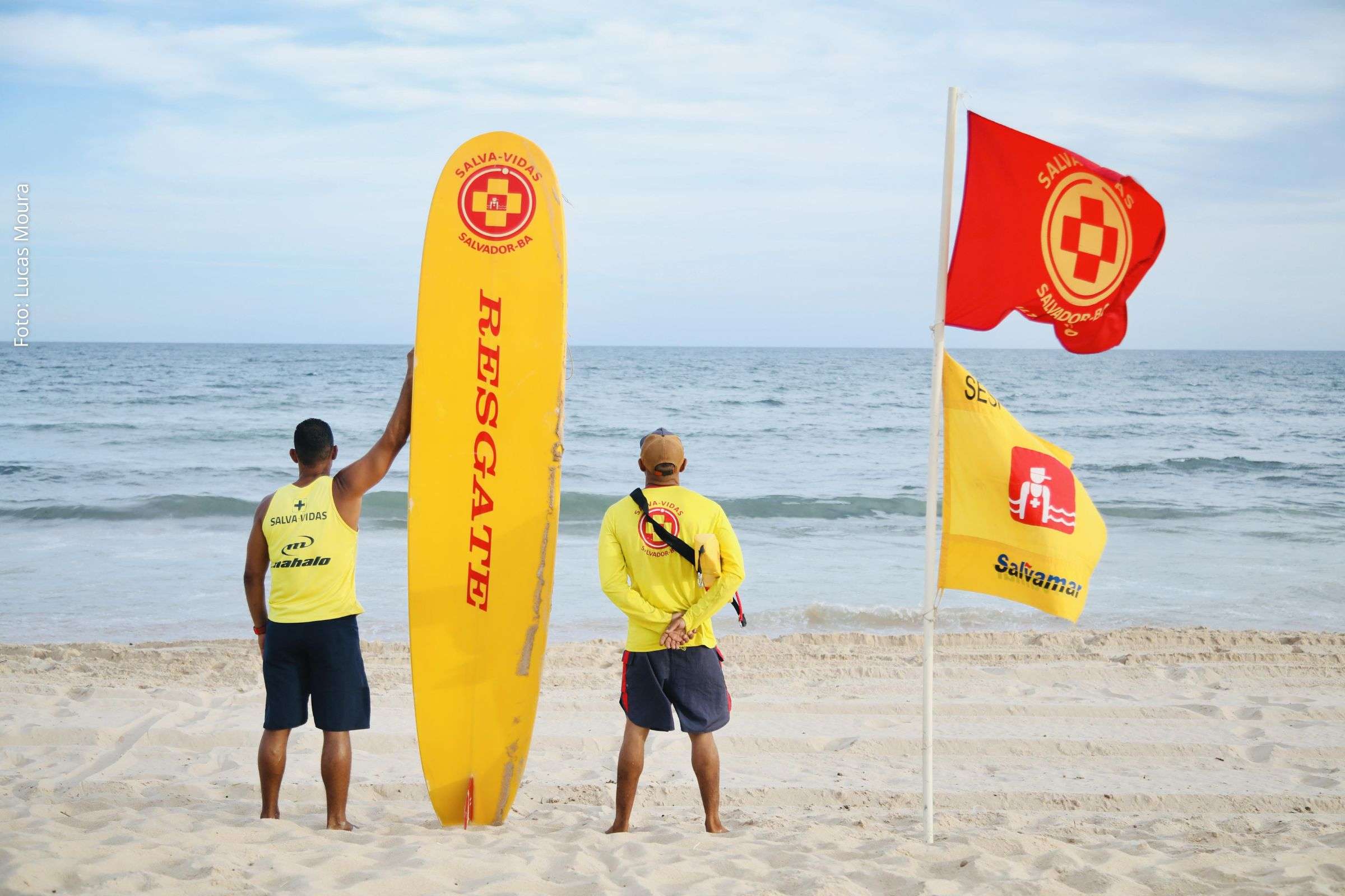 Número de ocorrências caiu de 641 para 235 entre janeiro e 15 de agosto, segundo coordenadoria.
