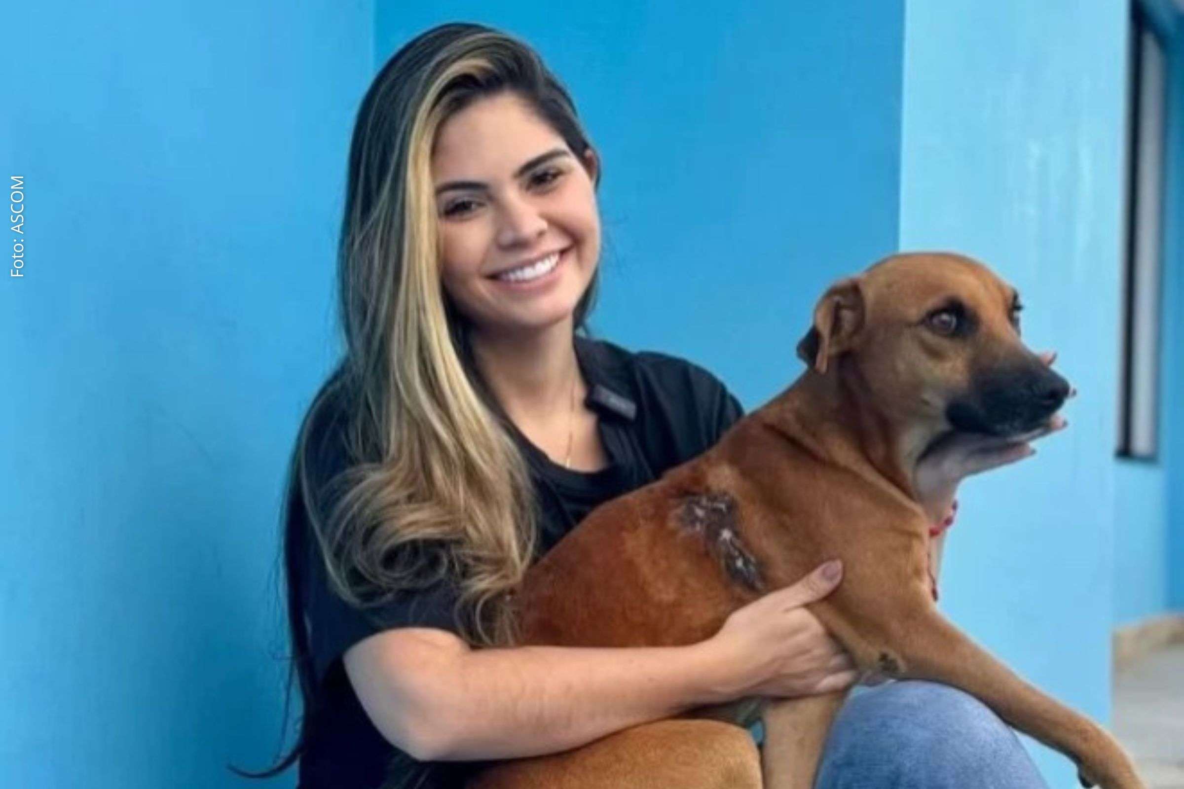 Iniciativa da vereadora Marcelle Moraes busca ampliar acesso a tratamentos veterinários via SUS e apoiar tutores de baixa renda.