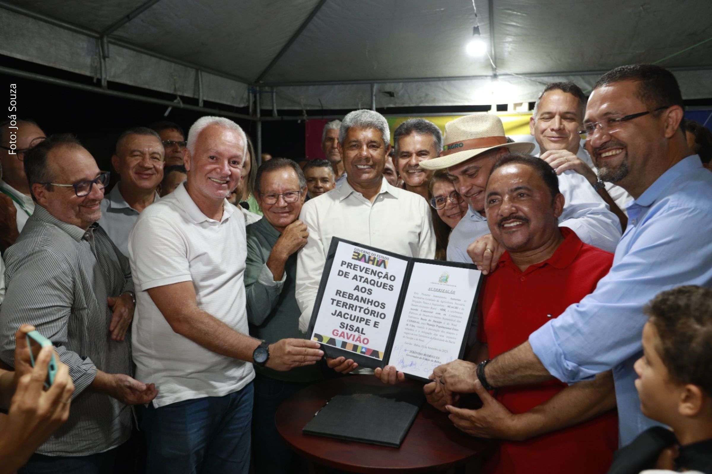 Governo da Bahia lança projeto de controle populacional de cães no semiárido