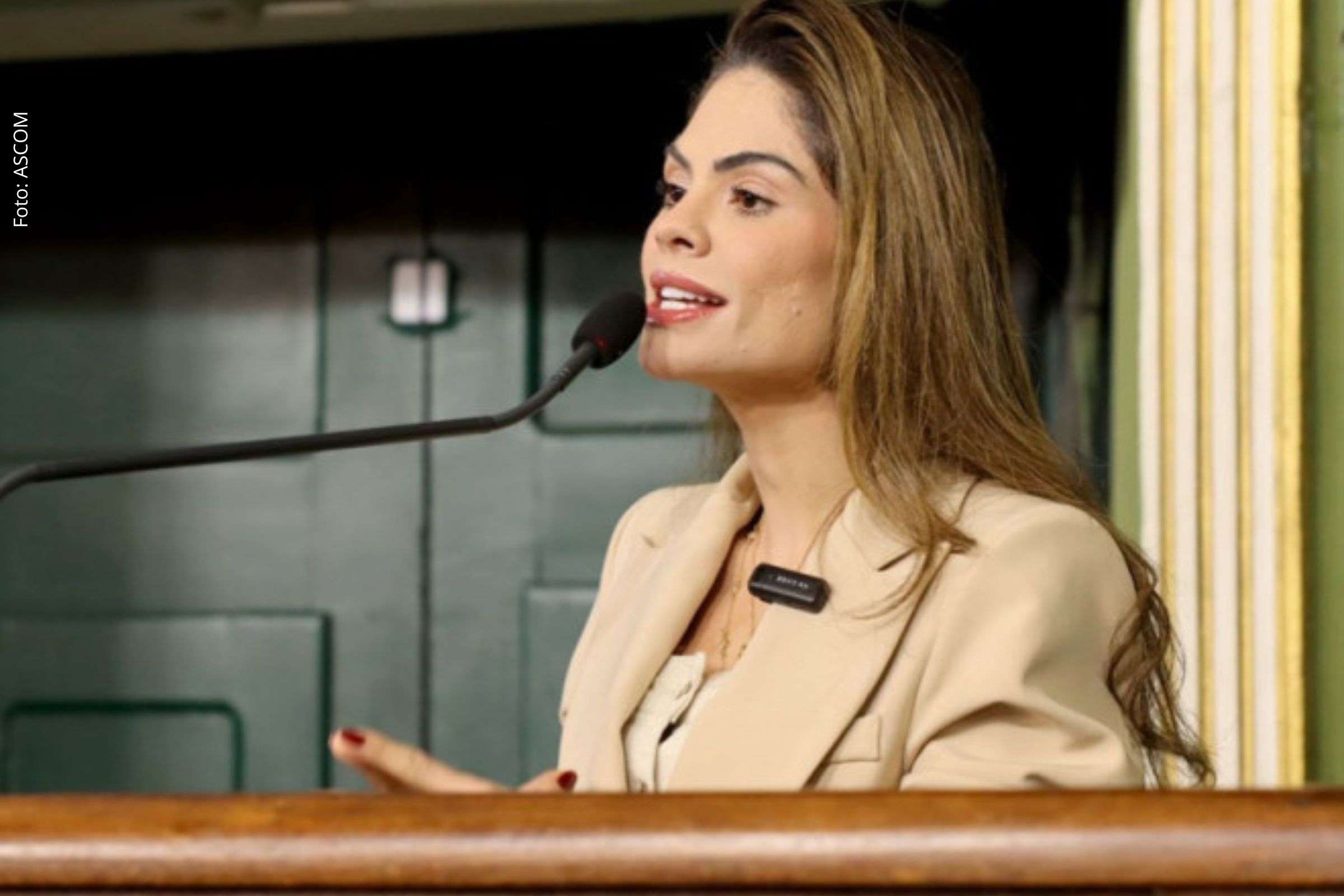 Câmara de Salvador aprova criação do Fundo Municipal de Proteção e Bem-Estar Animal