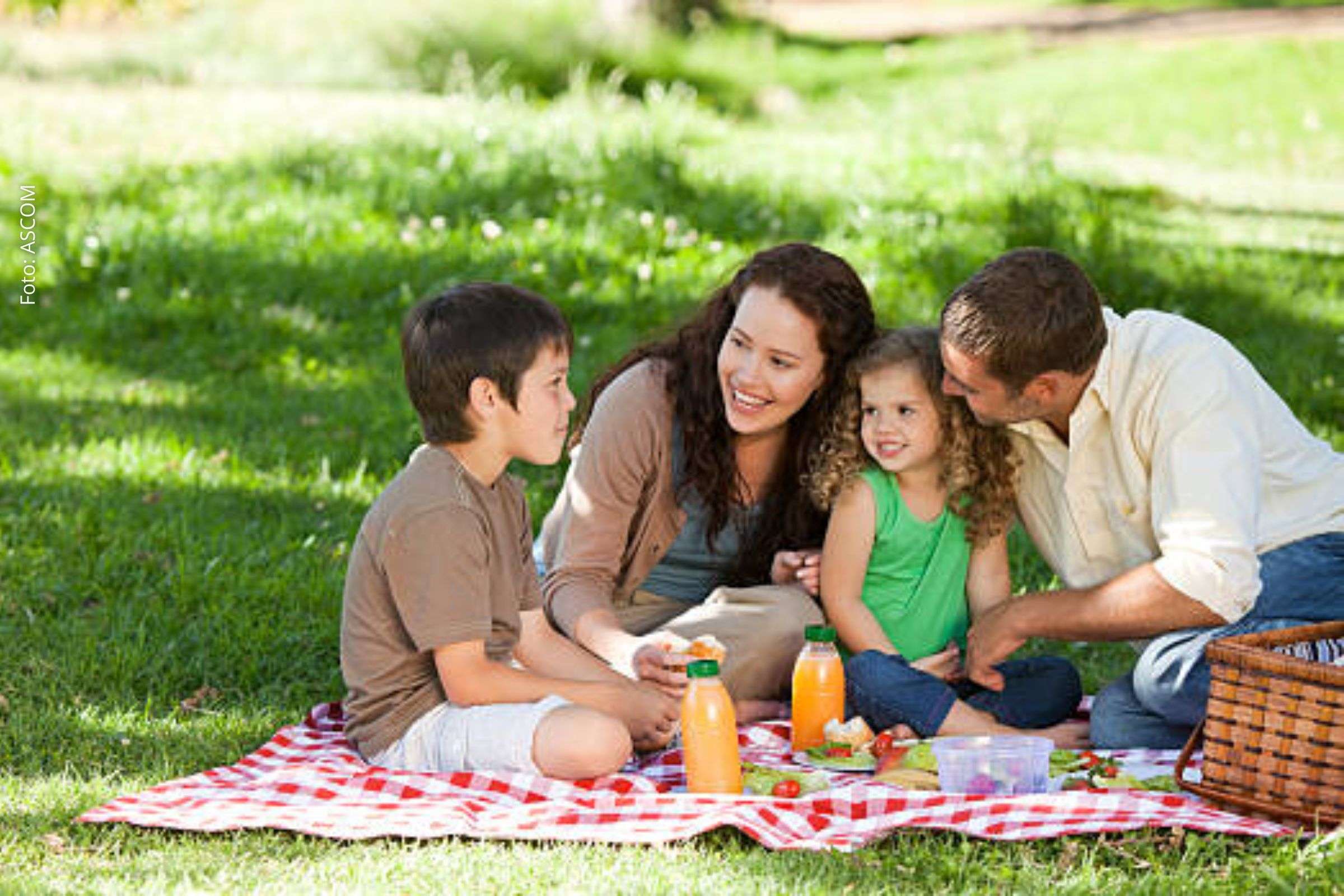 7 passeios perfeitos para se fazer em família; Opções acessíveis e divertidas para todas as idades